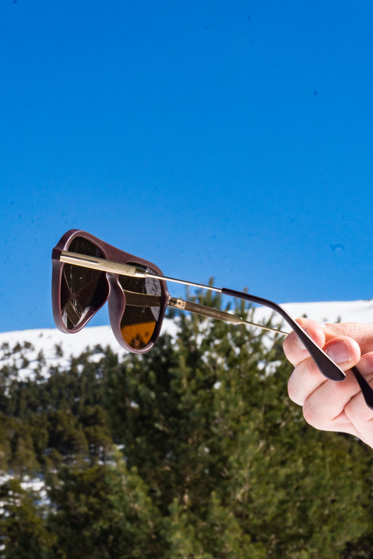 Gafas de sol Hombre - Carey Aviador